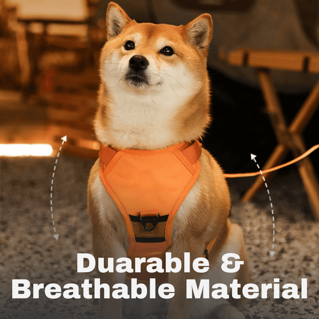 Vivastria® 2 in 1 Pet Harness